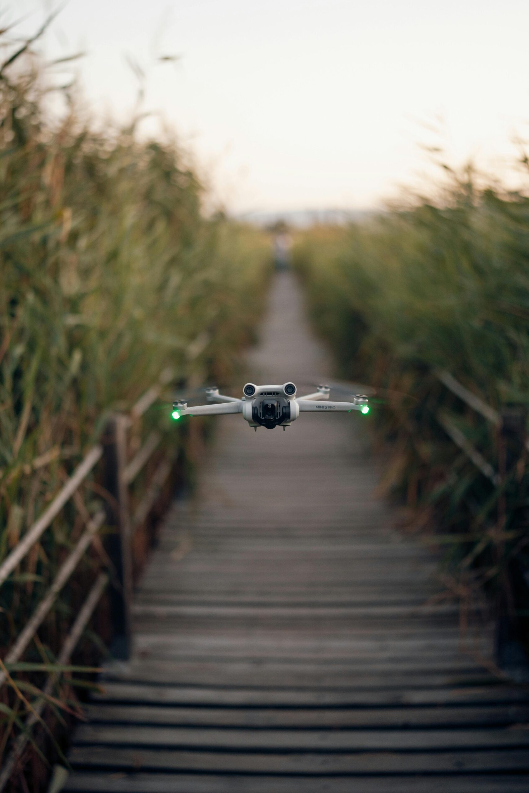 Aerial drone hovers above a boardwalk surrounded by tall reeds in an outdoor setting.